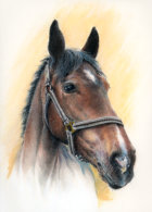 Das Pferd Lanzelot, mit Pastellstiften auf Künstlerkarton gemalt