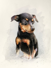 Ein Hunde-Porträt: Aquarell auf ARCHES Aquarellpapier