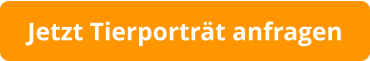 Jetzt Tierporträt anfragen